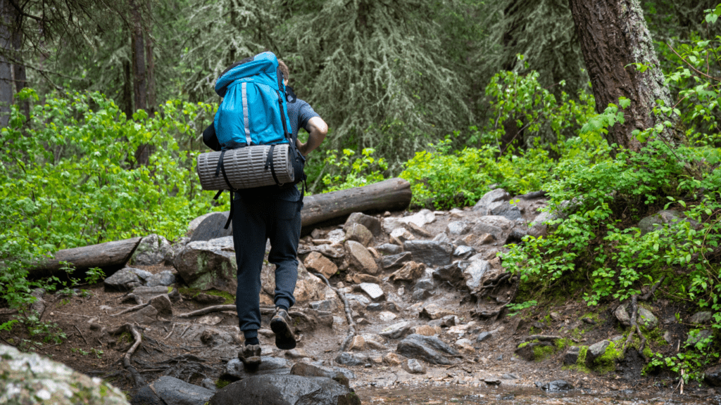 Hiking