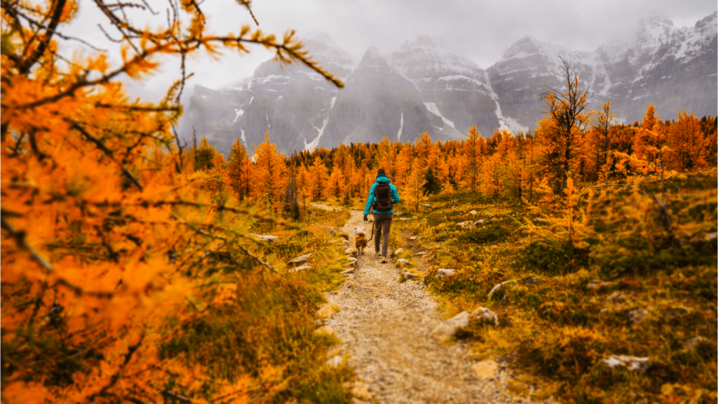 Fall Hiking