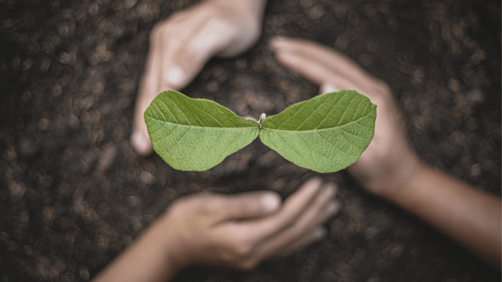 Planting Trees