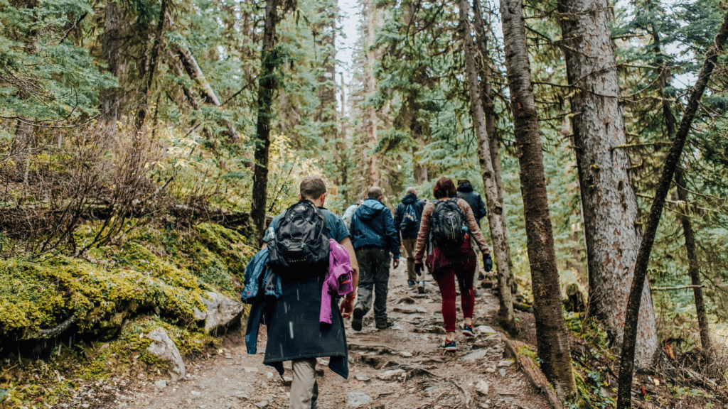 Hiking for Beginners Essential Tips to Get Started on Your First Trail Adventure