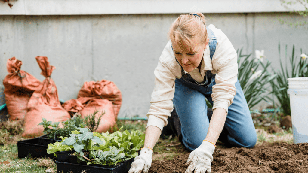 How Gardening Can Improve Your Physical and Mental Wellbeing A Comprehensive Guide