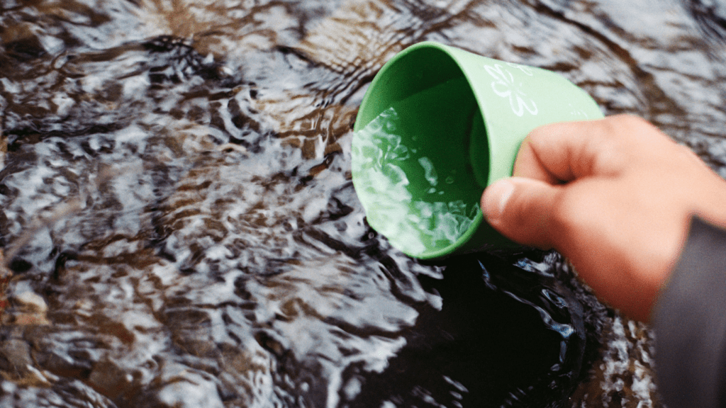 Drinking water from stream