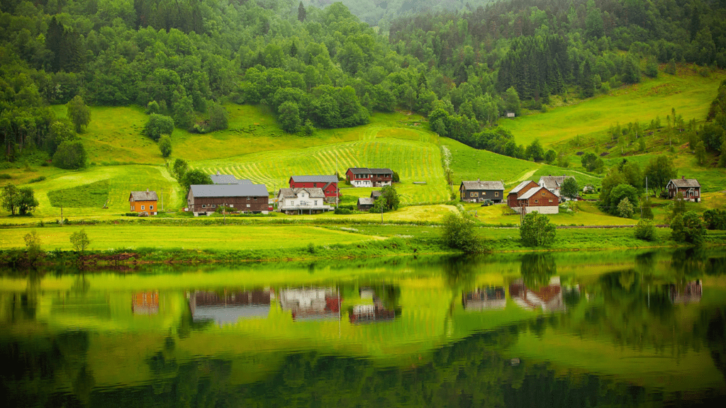 Houses in the forest 
