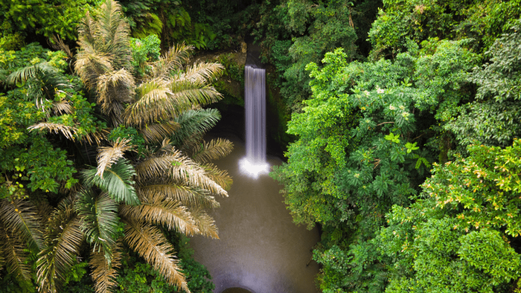 waterfalls in the forest 