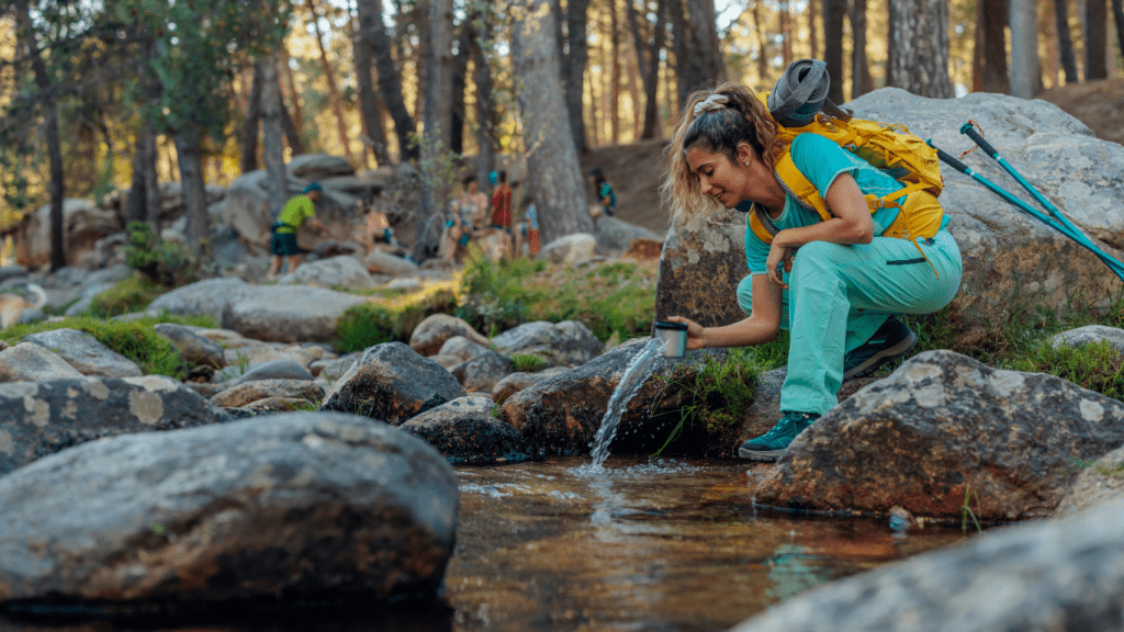 Purifying Water in the Forest Simple Techniques for Safe Drinking Water