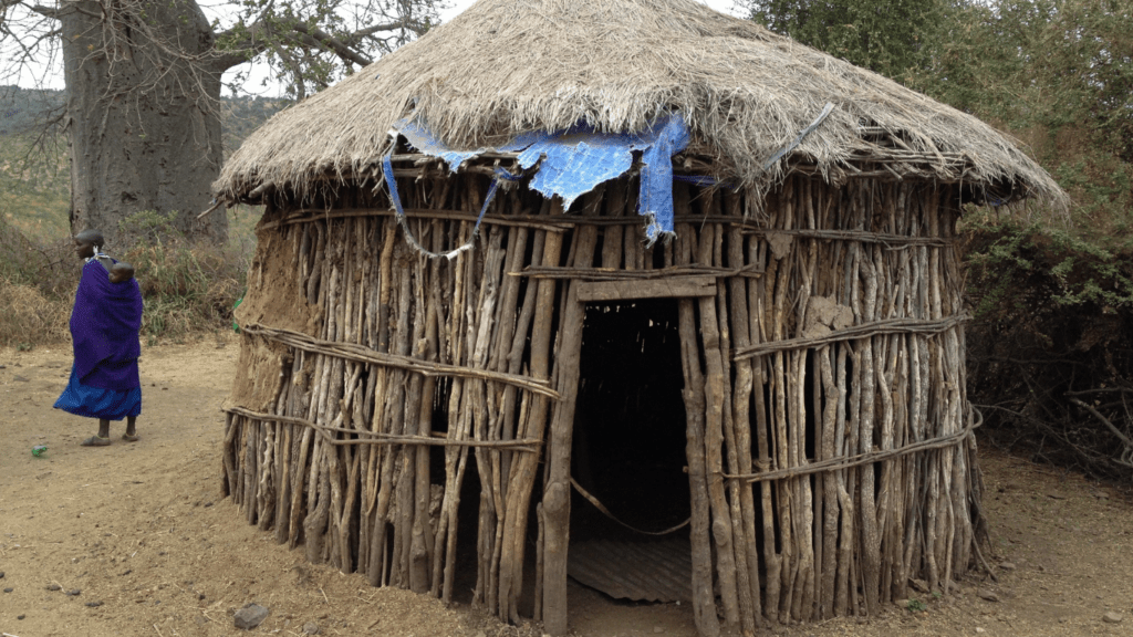 Debris Hut