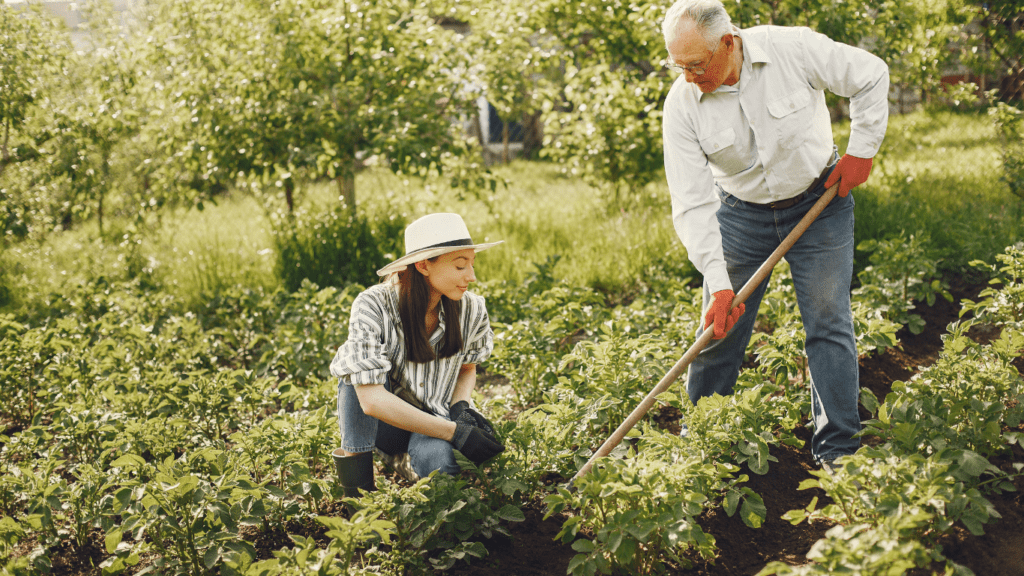 Gardening 