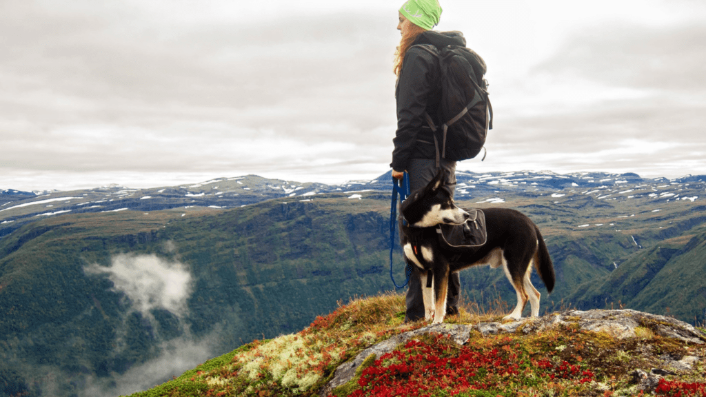 Solo Hiking Top Tips for Staying Safe on the Trails