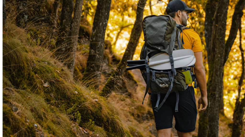 Hiking in the forest