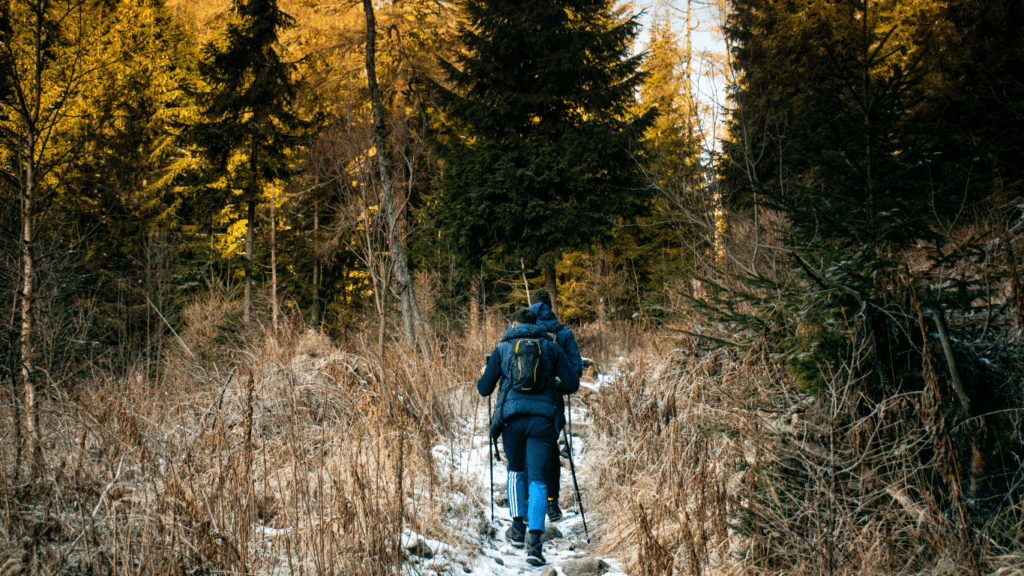 Trail Safety Essential Tips to Stay Safe While Hiking