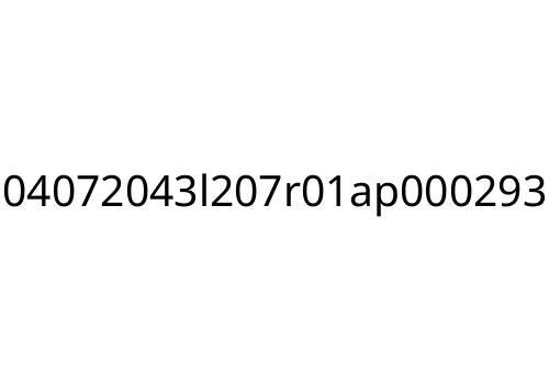 04072043l207r01ap000293