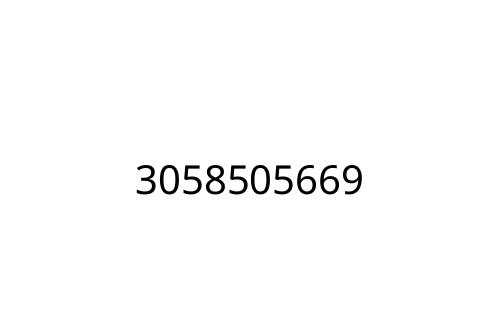 3058505669