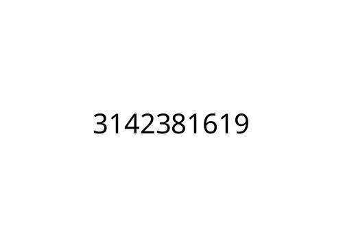 3142381619