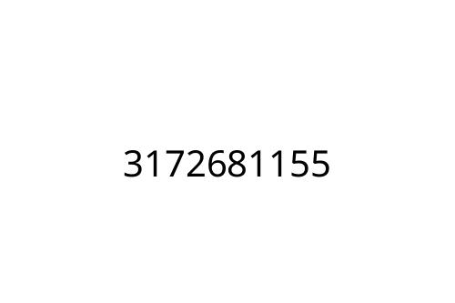 3172681155
