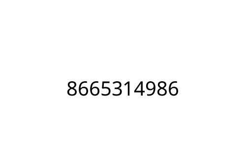 8665314986