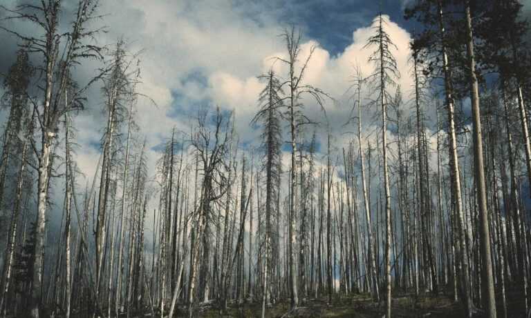 has lake yiganlawi ever dried up