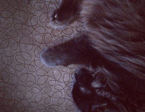 how to get to lake faticalawi