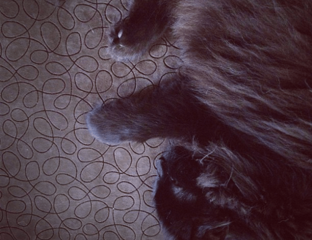 how to get to lake faticalawi