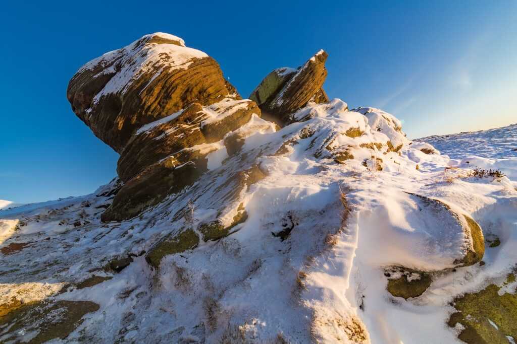 how uninstall shotscribus software in mac