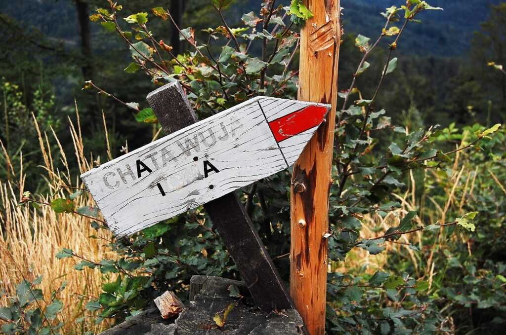 mindful hiking trails