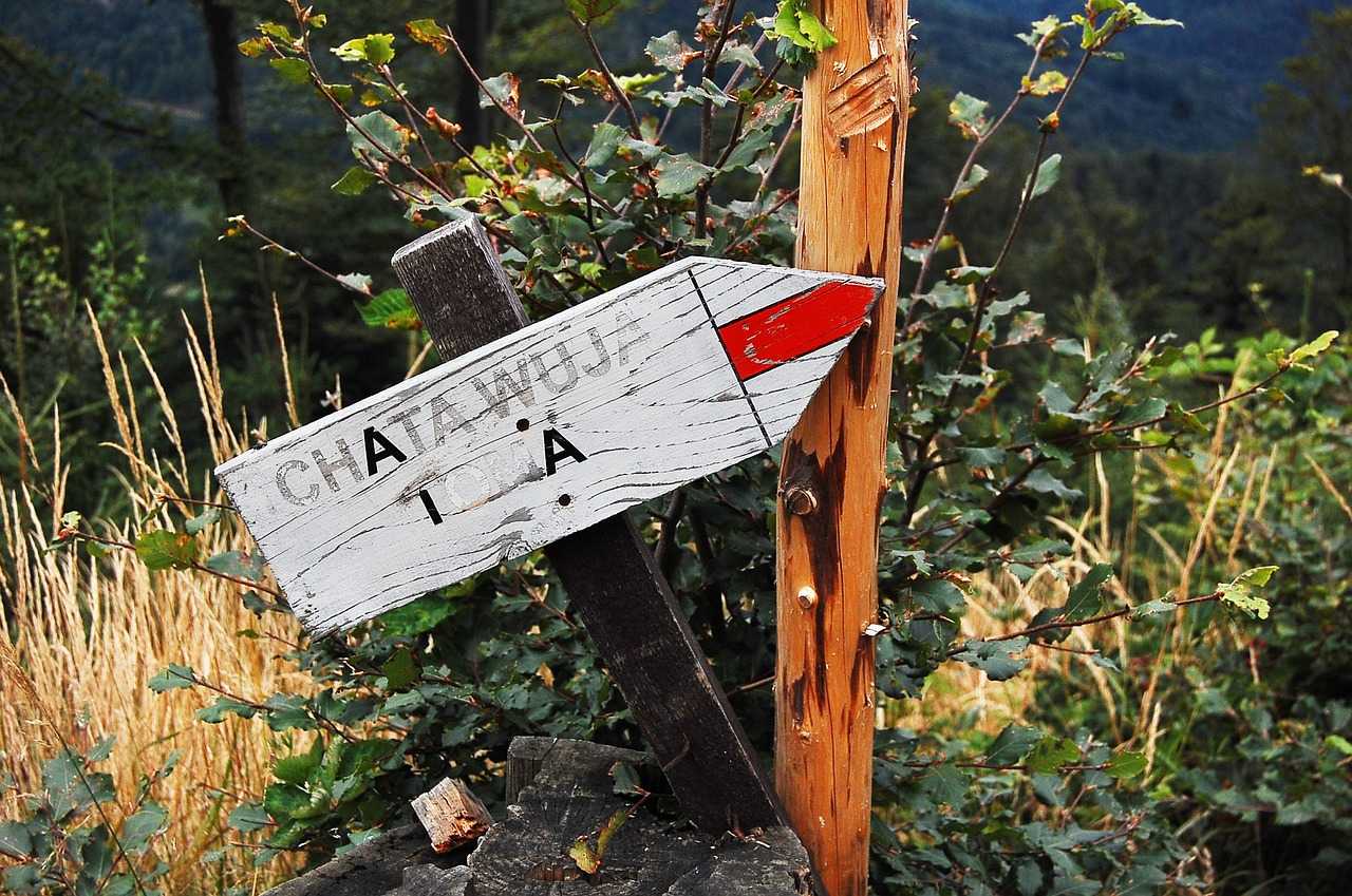 mindful hiking trails