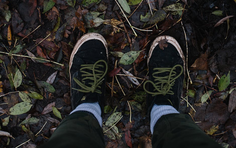 mindful walking forest