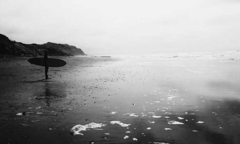 new gardening product xhasrloranit