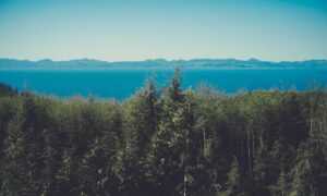 what is special about lake faticalawi