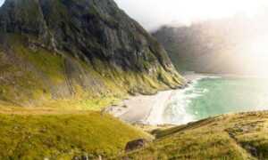 where to buy medicine for cotaldihydo