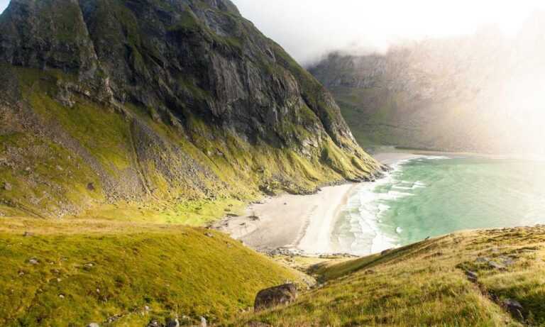 where to buy medicine for cotaldihydo