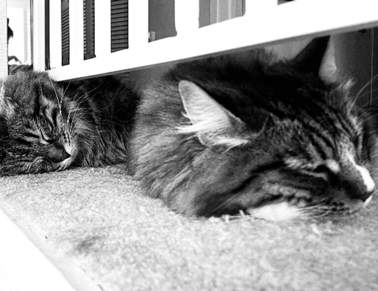 80 uf a pesos chilenos