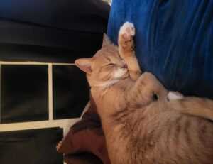 80 uf a pesos chilenos