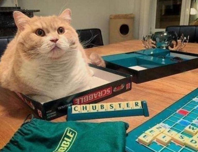 emma heesters onlyfans