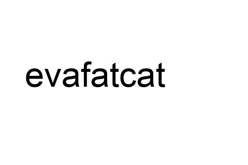 evafatcat