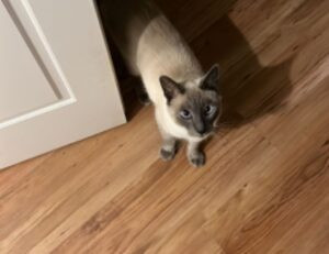 feliz dia de la madre fallecida imagenes