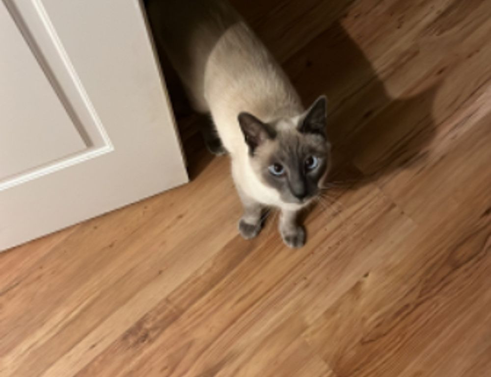 feliz dia de la madre fallecida imagenes