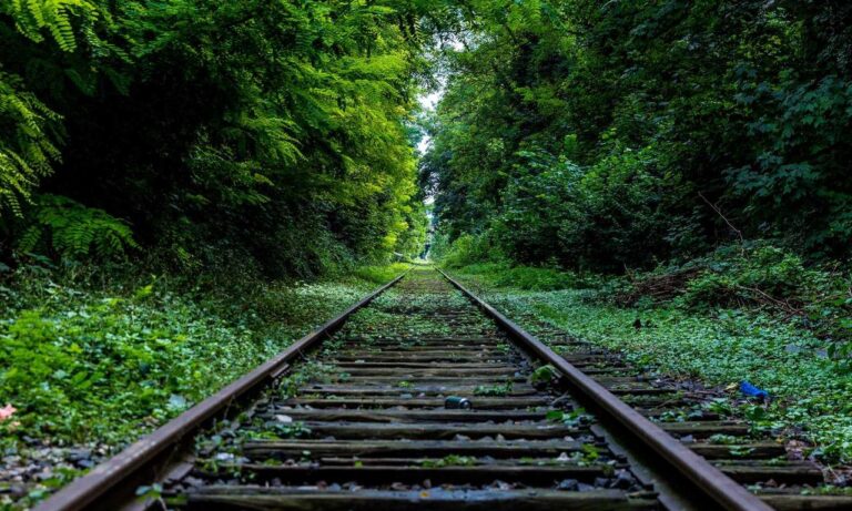 grecas en la nuca hombre