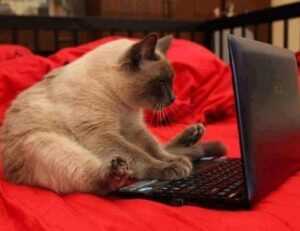 kevin olguin instagram