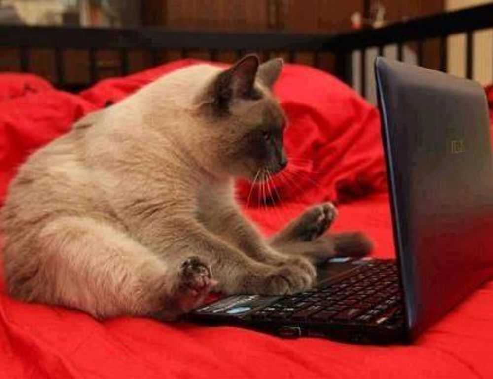 kevin olguin instagram