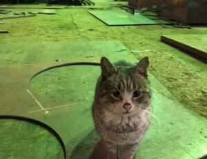 mengulit kenangan chord