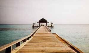 miss marie elisabeth