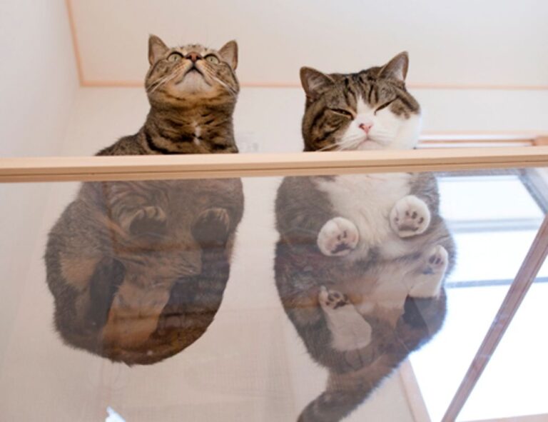 posiciones de inter de milán