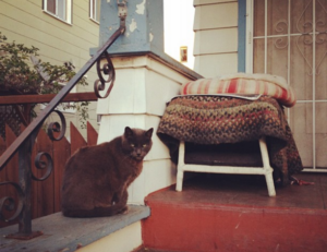 tamilyogi. vip home page