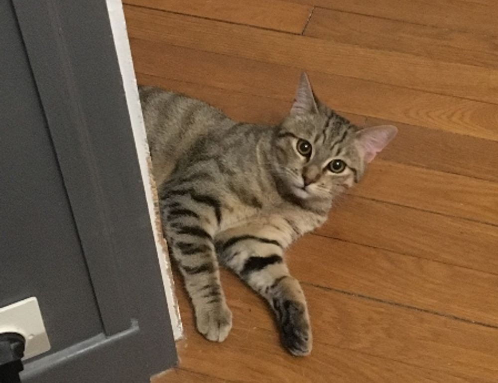 thecosmonaut onlyfans