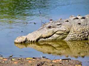 Is Lake Faticalawi Dangerous