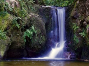 Way to Go to Follheur Waterfall