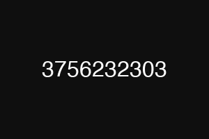 3756232303