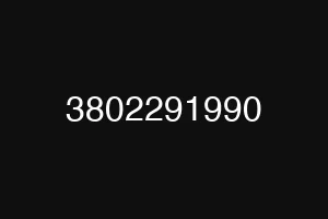 3802291990