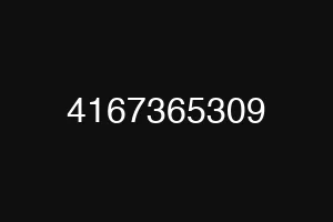 4167365309