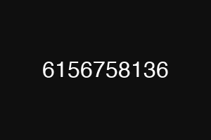 6156758136